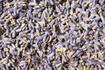 Lavender texture (1 of 2)