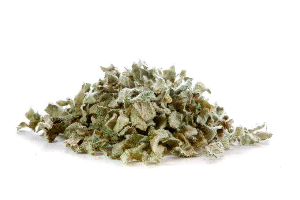 dried mullein verbascum picture - mullein is one of the best smokable herbs