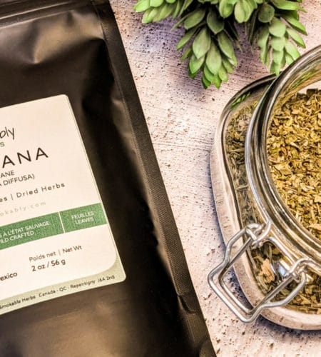 Damiana produit à base d'herbes séchées